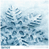 Žieminiai avatarai | Nature :: Winter