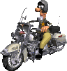 Motociklai | Мотоциклы