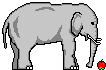 Elefantoj
