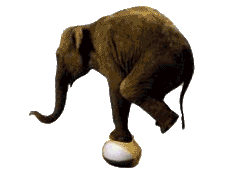 Drambliai | Слоны