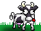 Karvės | Коровы