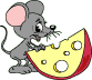 Pelės | Mouse