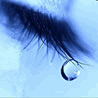 Eyes