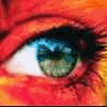 Eyes