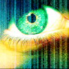 Eyes