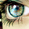 Eyes