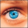 Eyes