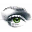 Eyes