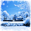 Nature :: Winter