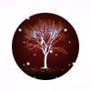 Nature :: Winter
