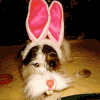 Velykiniai avatarai | Easter Avatars