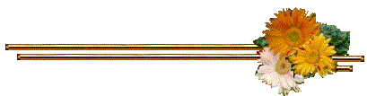 Various lines