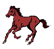 Horses
