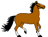 Horses
