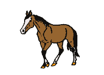 Horses