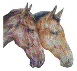Horses