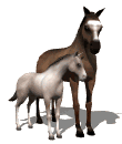 Horses