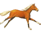 Horses