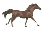 Horses
