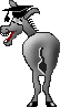 Horses