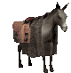 Donkeys