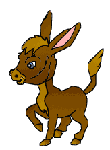 Donkeys