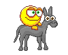 Donkeys