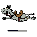 Donkeys