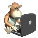 Monkey