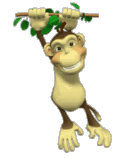 Monkey