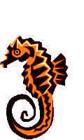 Dragons