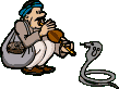 Snakes