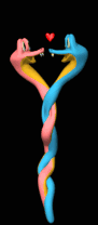 Snakes