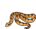 Snakes