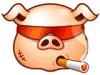 Pigs