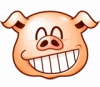 Pigs