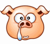 Pigs