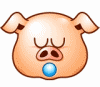 Pigs