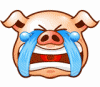 Pigs