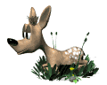 Various/Other :: Fauna