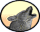 Various/Other :: Fauna
