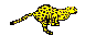 Various/Other :: Fauna