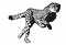 Various/Other :: Fauna