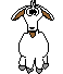 Goats