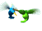 Birds