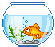 Aquatic animals