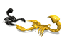 Aquatic animals