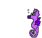 Aquatic animals