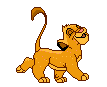 Cats :: Fauna