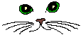 Cats :: Fauna